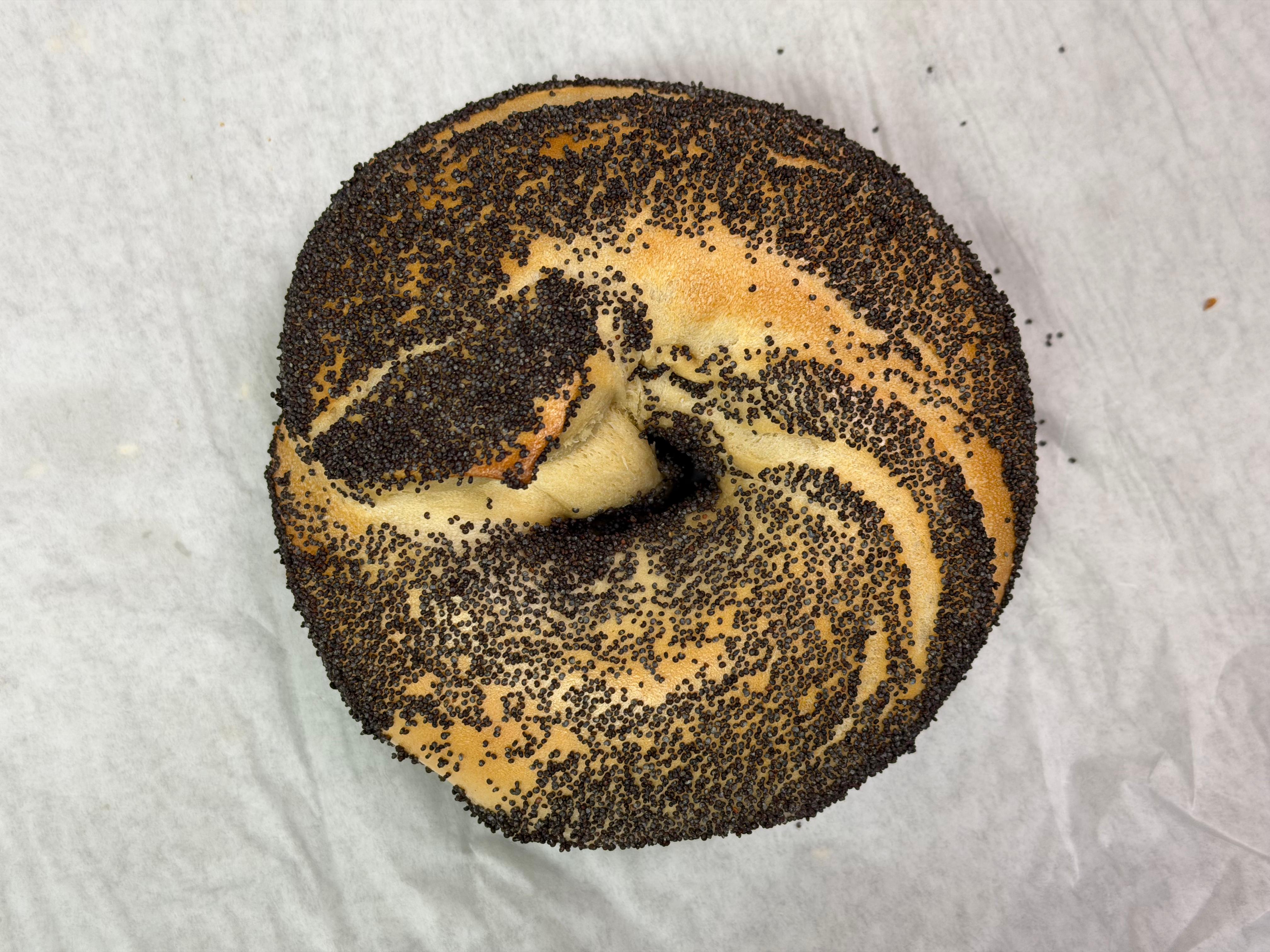 Poppy Seed